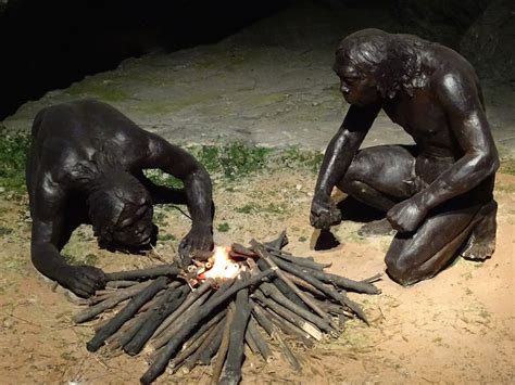 our ancient obsession with food humans as evolutionary master chefs