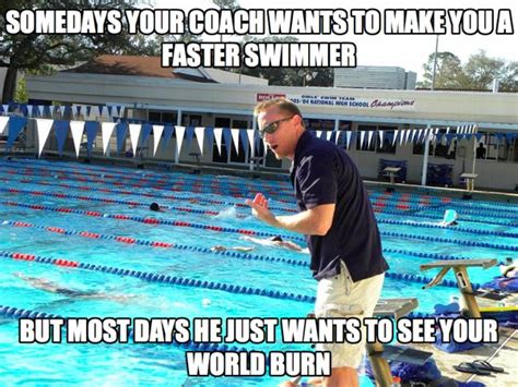 You Might Be A Swimmer If Funny Swimming Memes Plus Friday Frivolity
