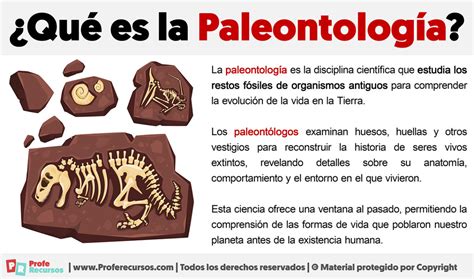 Qué Es La Paleontología Definición De Paleontología