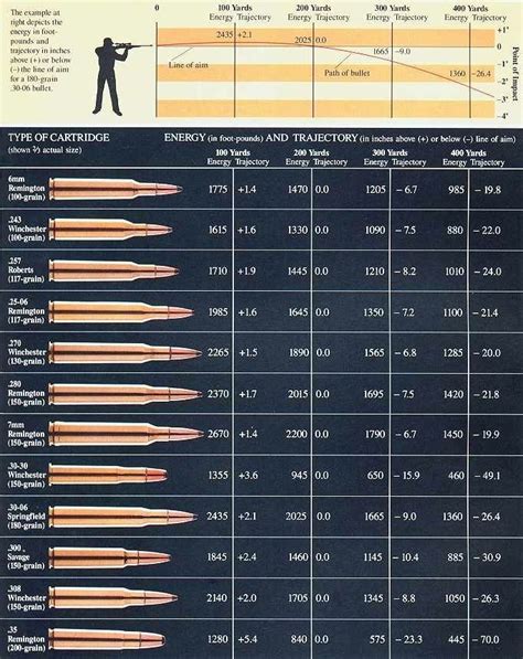 Rifle Cartridge Ballistics Chart