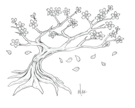 Cherry Blossom Tree Drawing Easy At Explore