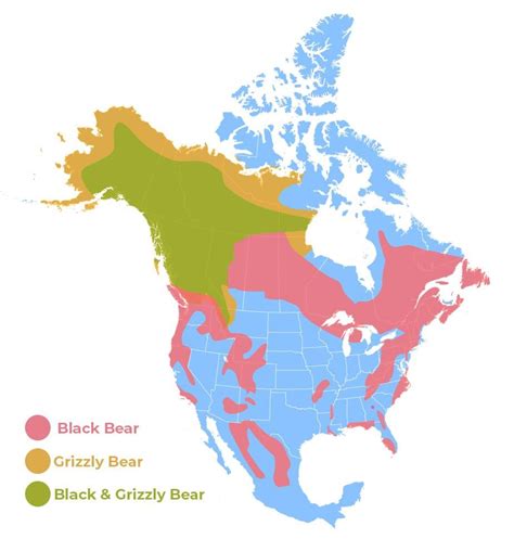 Bears In North America Map United States Map