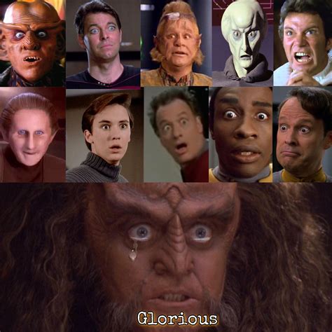 Give Me Your Best Gowron Eyes Rstartrekmemes