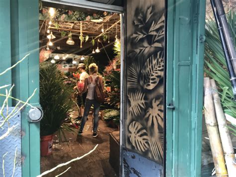 Wholesale flowers, floral supply wholesale, flower market, new england flower exchange, new england, greater boston, massachusetts wholesale, plants, cut flowers, boston flower exchange inc is located in boston city of massachusetts state. SPEND A MORNING IN THE CHELSEA FLOWER MARKET