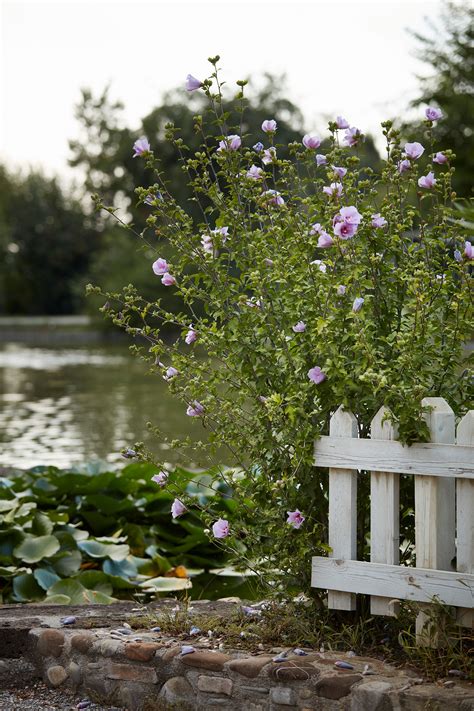 La Prateria: Agriturismo a Reggio Emilia