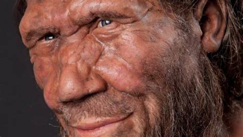 The Big Noses Of Neanderthals Possibly Allowed For Twice The Breathing Air Intake Of Humans
