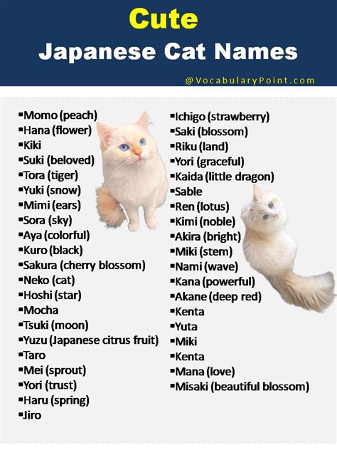 Unique And Meaningful Japanese Cat Names