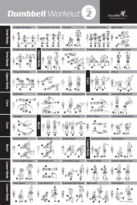 Buy Newme Fitness Dumbbell Workout Exercise Now Laminated Strength Training Chart Build