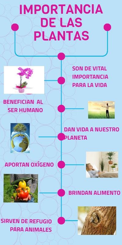 INFOGRAFIA DE LA IMPORTANCIA DE LAS PLANTAS