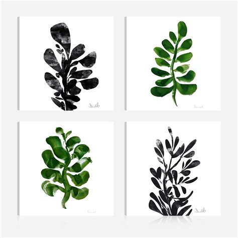 ArtMaison Canada Botanical Plant Prints16 In X 16 In Giclee Print