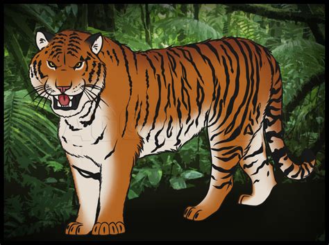 Dragoart has an official spring 2020 drawing contest live now! How To Draw A Tiger by Dawn | dragoart.com