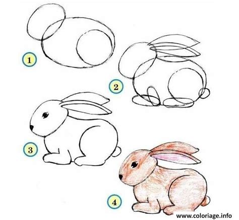 Coloriage comment dessiner un lapin etape par etape  JeColorie.com