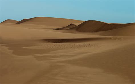 Wallpaper Landscape Desert Dune Sahara 2560x1600 Px Habitat