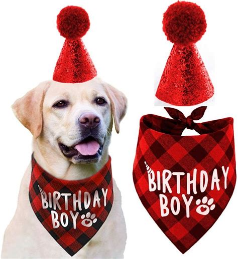 Dog Birthday Hat And Dog Birthday Bandana Boy Set Dog Birthday Hat