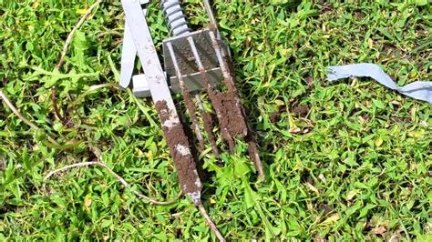 Mole Trap That Works Youtube