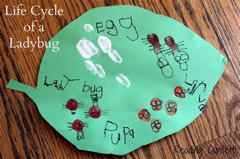 Fingerprint Lady Bug Life Cycle Craft ~ Reading Confetti