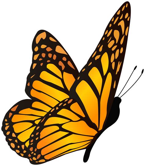 Free Butterfly Clipart Transparent Background