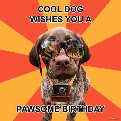 Animal Happy Birthday Meme In   Png Psd Illustrator