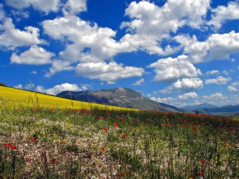 Wildflowers And Clouds Italy Academy Award Winning Movies Italy Tours