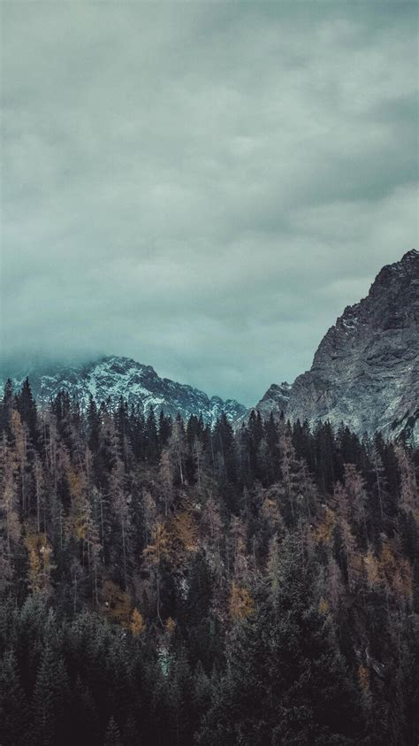 750x1334 Trees And Mountains 4k Iphone 6 Iphone 6s Iphone 7 Hd 4k