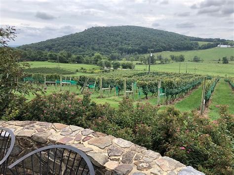 Hillsborough Vineyards Purcellville 2020 All You Need To Know