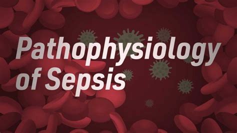 Pathophysiology Of Sepsis Ausmed Lectures