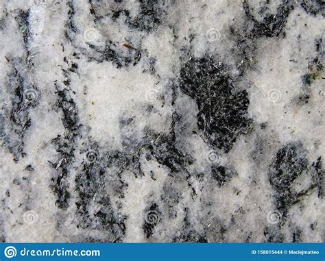 Black And White Minerals In A Metamorphic Rock Surface Seen In Detail