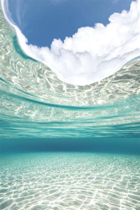 Pin By Kei Mizuno On Glorious Natural Scenery Underwater Photography