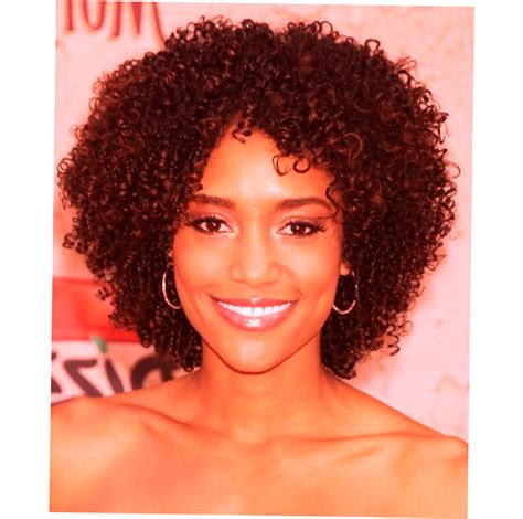 African American Natural Hairstyles New Style For 2016