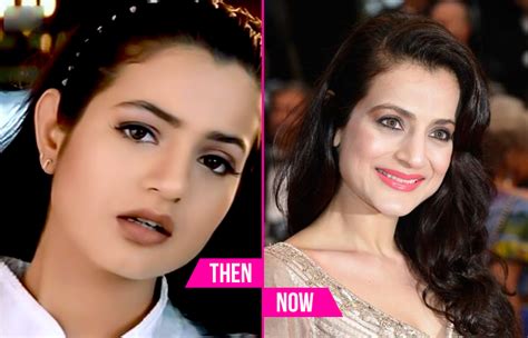 12 Actresses From 2000s Who Disappeared From Bollywood Then And Now
