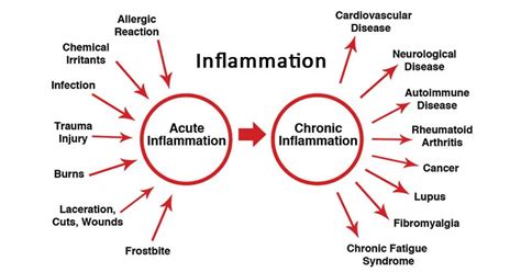 Inflammation Definition Types Causes And Treatment