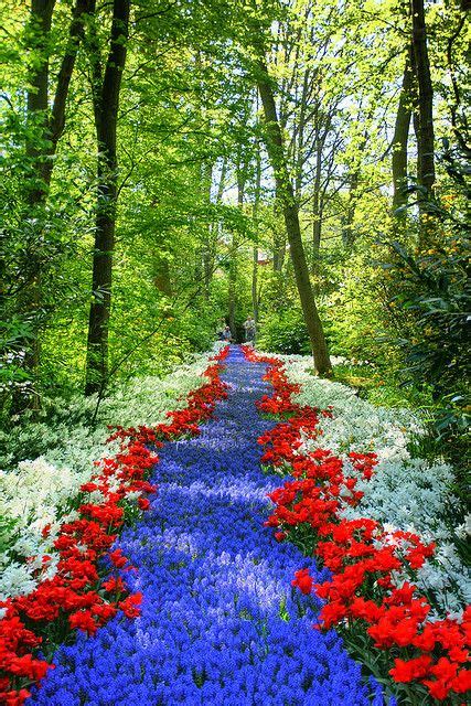Path Of Flowers Hdr Beautiful Gardens Nature Beautiful Landscapes
