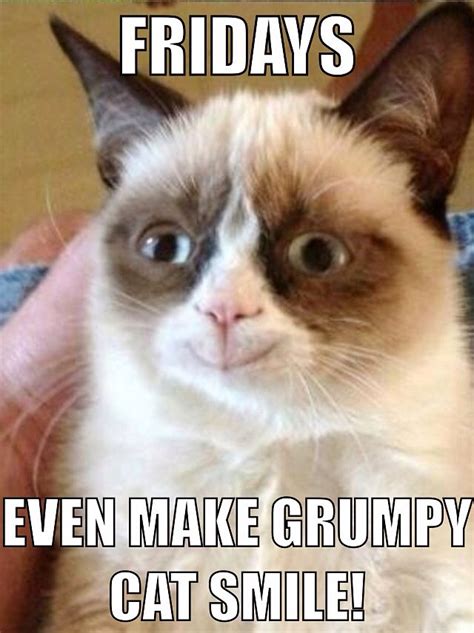 Even Grumpy Cat Smiles On Friday Grumpy Cat Quotes Funny Grumpy