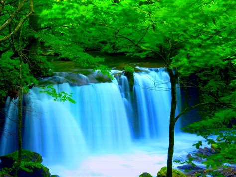 Forest River Falls Desktop Background Wallpaper 2560x1600