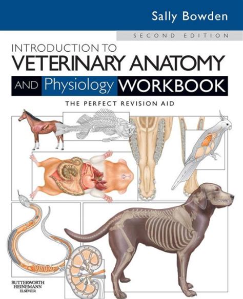Introduction To Veterinary Anatomy And Physiology Workbook Edition 2