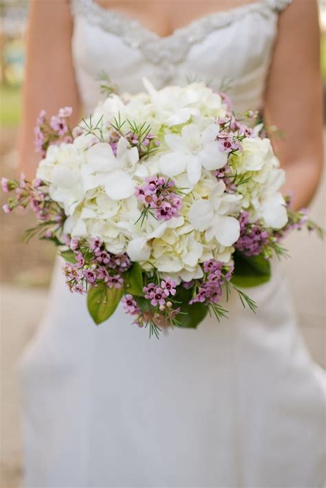 Maybe you would like to learn more about one of these? 168 best images about Wax Flower Wedding on Pinterest