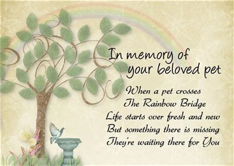 We did not find results for: Pet loss sympathy card Waiting for You to remember dog cat ...