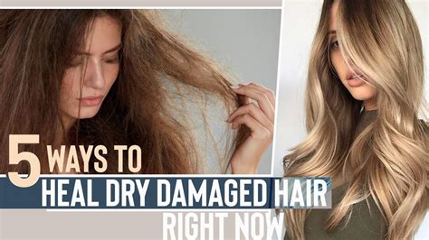 5 Ways To Heal Dry Damaged Hair In One Day Youtube