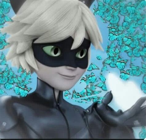 Miraculous Pfp Aesthetic Wallpaper Cat Noir Aesthetic Pfp Pin On Hot