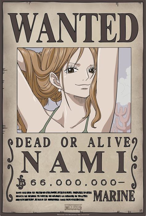 One Piece Nami Bounty Poster Onepiecejullle