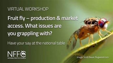 National Fruit Fly Council Grower Workshops