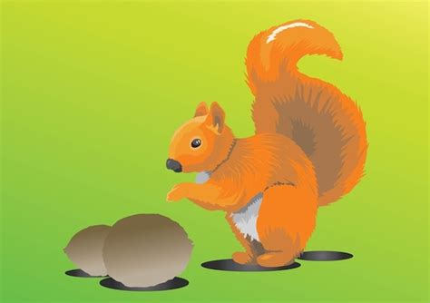 Squirrel On Green Background Vector Free Download