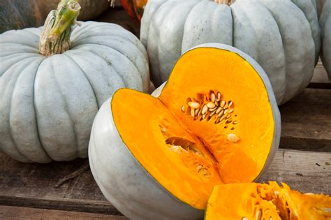 What's the most unusual color of a pumpkin? 10 pumpkin and winter squash varieties you should know ...