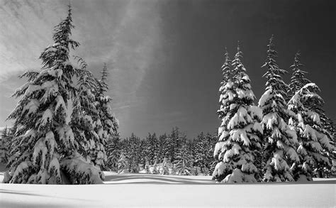 Beautiful Black And White Winter Wonderland Photograph By Artpics