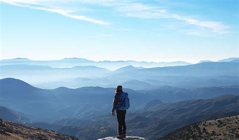 Taking a gap year may also improve students' future academic performance. How to Have an Affordable Gap Year With No Money