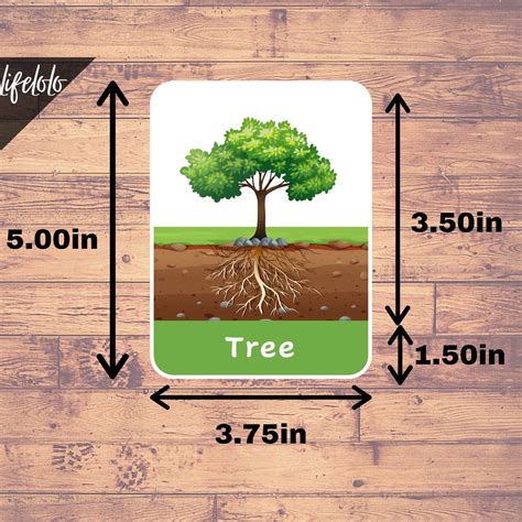 We did not find results for: PARTS OF A TREE - 6 Flash Cards | Montessori Materials ...