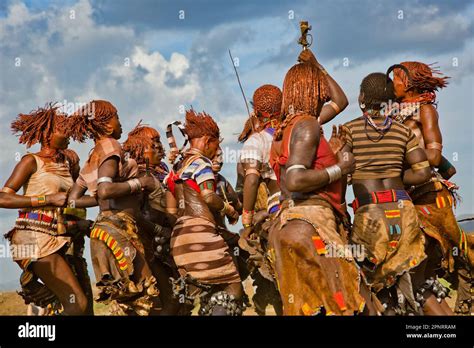 Ceremonia De Salto De Toros Mujeres Familiares Bailan La Tribu Hamer Etiop A Fotograf A De