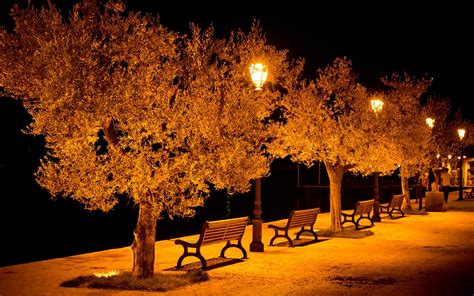 Hd City Aeyaey Street Benches Light Lights Bench Night