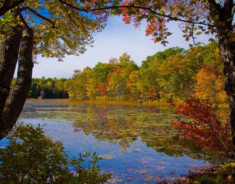 Connecticut Nature And Landscape Photography Autumn Window