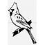 Download High Quality Cardinal Clipart Black And White Transparent PNG 